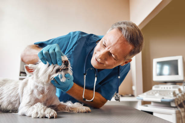Best Emergency Tooth Extraction in Zachary, LA